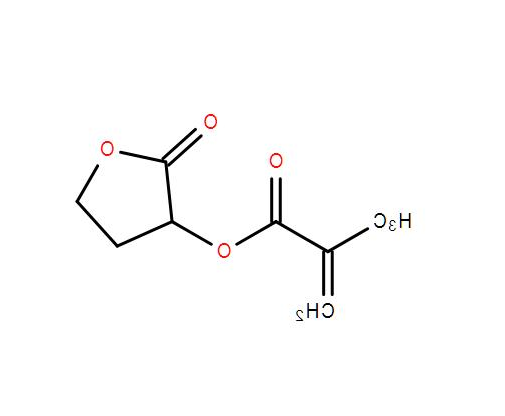 jp_α-甲基烯丙羰氧基-γ-丁酸内酯
